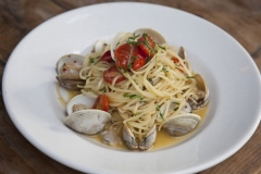 clams-1