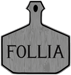 Follia